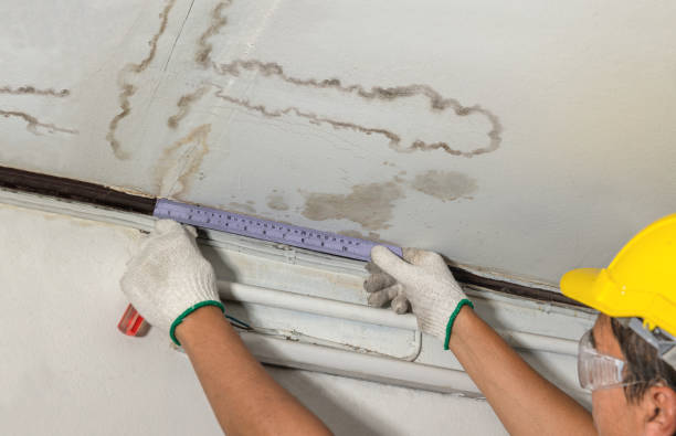 Reliable Mold Remediation contractor in Mooreland, OK by Water Damage Irwin